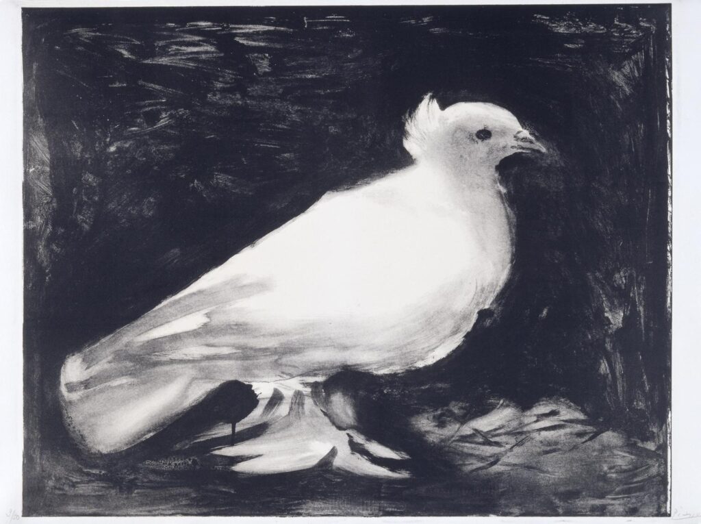 Dove Of Peace / La Colombe Pablo Picasso Congrès mondial des Partisans de la paix 1949, Paris Peace Congress