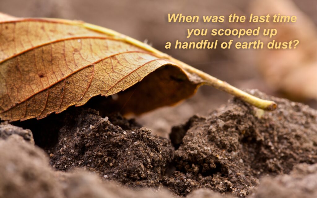 When was the last time you scooped up a handful of earth dust?